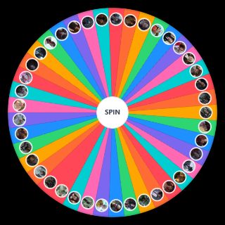 Random A Series of Unfortunate Events Wheel