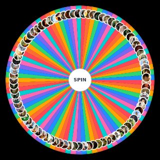 Spin the Wheel: ATLA/LOK Complete Character