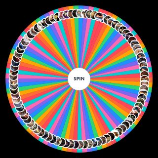Random Canon Jedi/Sith Wheel