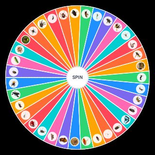 Random Insect/Arachnid Wheel