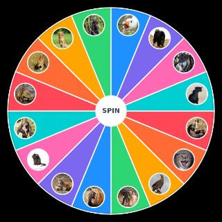 Would a Human be able to Beat in a fight? Wheel