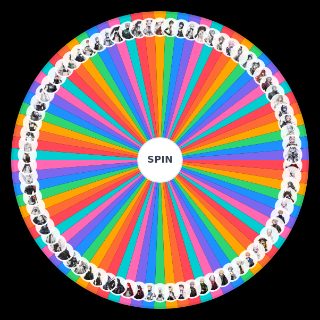 Random Punishing Gray Raven (PGR) 2026 Characters Wheel