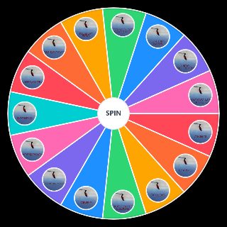 Random Ameri Duki Wheel