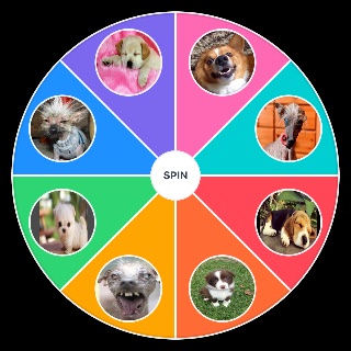 Random Cute To Ugly Dogs Wheel
