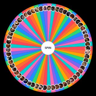 Spin the Wheel: All companions of Dragon Age games
