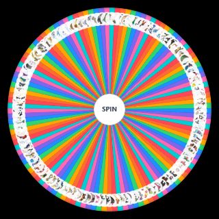 Spin the Wheel: Pokémon Alola