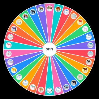 Wild Horse Islands Event Horses Wheel