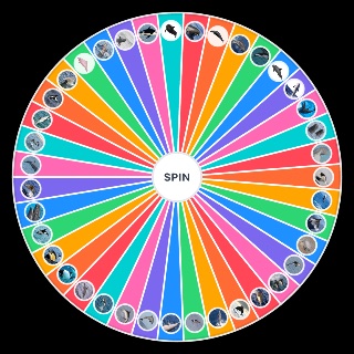 Choose a Random Dolphin species