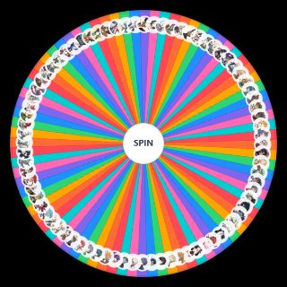 Spin the Wheel: PokÃ©mon All Gym Leaders/Trial Captains/Kahuna