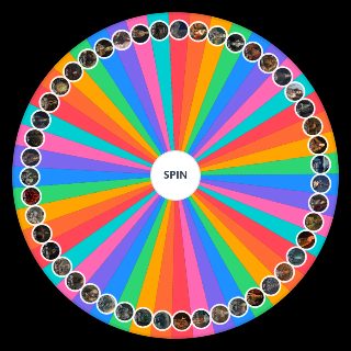Elden Ring NPCS Random Picker