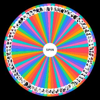 Spin the Wheel: Hollow Knight Ship