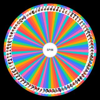 Spin the Wheel: NFL Wide Recievers