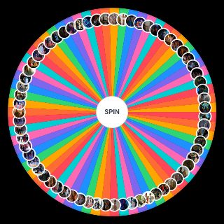 Spin the Wheel: Cobra kai fights