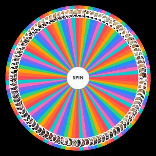 Spin the Wheel: Fire Emblem Fates Chapters