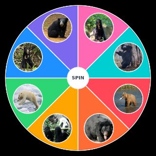 Bears Random Generator