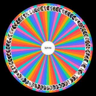 Star Wars Galactic Women (Canon) Wheel