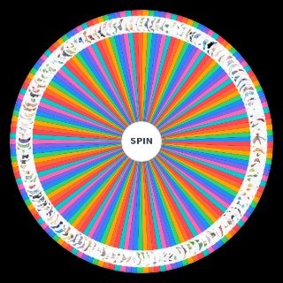 Random Hoenn Regional Dex Wheel