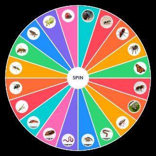 Random Insect teir Wheel