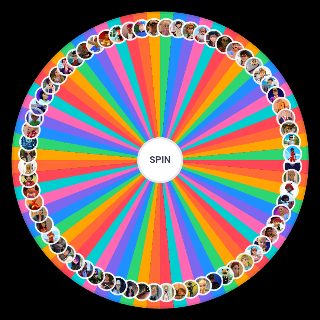 Spin the Wheel: Miraculous Ladybug Ultimate Character