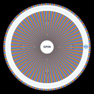 Spin the Wheel: Most Popular 500 Names