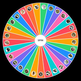 Random Horse breeds Wheel