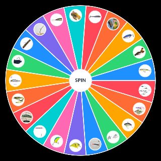 Spin the Wheel: Bass Fishing Lures