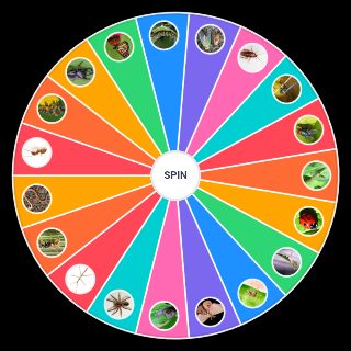 Random BUG Wheel