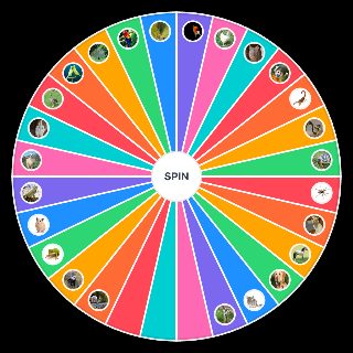 Spin the Wheel: Les animaux de compagnie