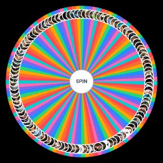 Spin the Wheel: Ultimate Harry Potter Character
