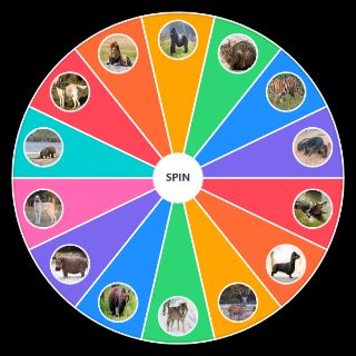 Random Could I Defeat This Animal Wheel