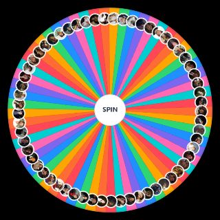 Spin the Wheel: Ultimate Celeb Men Smash or Pass