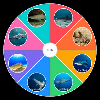 Pick a Random Sharks