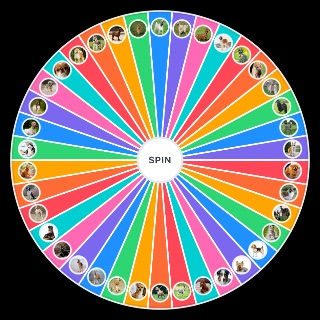 Spin the Wheel: Razas de perro