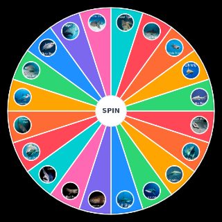 Spin the Wheel: Shark Types