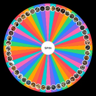 Random Fallout Companions Wheel