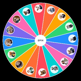 Random Pup Academy Characters Wheel