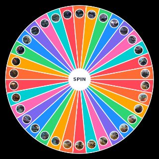 An Ultimate Monster Hunter Wilds Monster Wheel