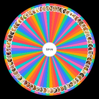 plats préférés des français en général Wheel