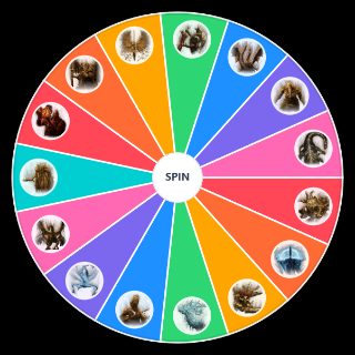 Pick a Random ELDEN RING Remembrance Bosses