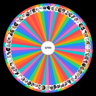Warrior Cats The Prophecies Begin All Major Cats Wheel