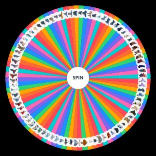Random Sky: Children of the Light Seasonal Spirits Wheel