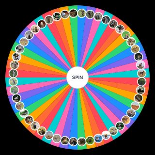 Spin the Wheel: Mammals
