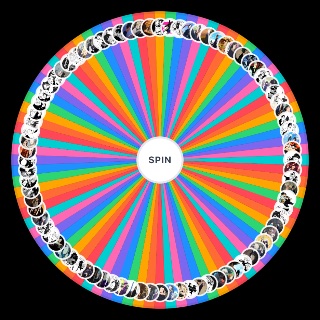 Spin the Wheel: Jujutsu Kaisen ships
