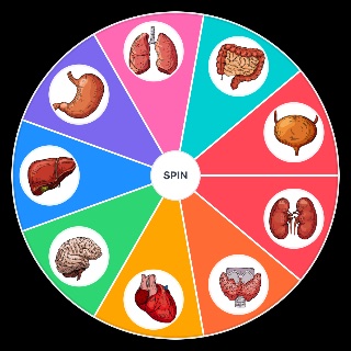 Spin the Wheel: Human Organs