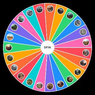 Pick a Random Rainbow Six Siege Maps (Y8S1)