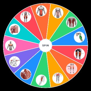 Spin the Wheel: Muscle Groups