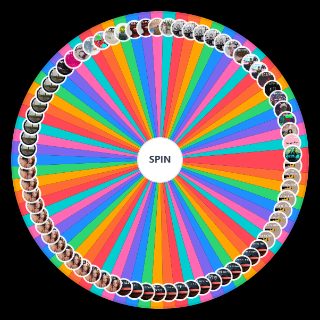 Spin the Wheel: All Dominic Fike Songs