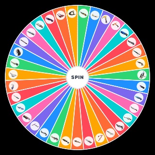VALORANT Melee Skins Random Generator