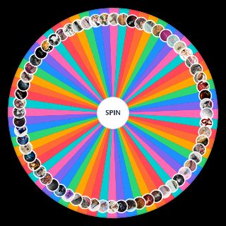 Spin the Wheel: Taylor Swift Single's Version