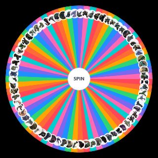 Spin the Wheel: Halo Vehicles